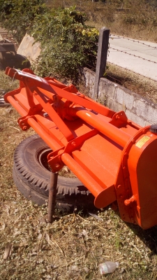 โลตารี180ชมตราช้าง