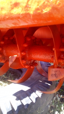 โลตารี180ชมตราช้าง