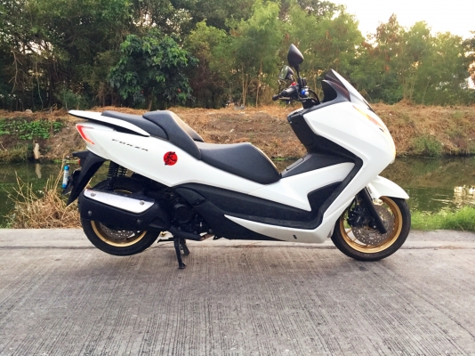ขาย/แลก/เทิร์น FORZA 300 ราคา 95,000 บาท ขาย/แลก/เทิร์น FORZA 300 ราคา 95,000 บาท