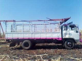 ขาย 6 ล้อร้อกกี้ FTR 165 ขาย 6 ล้อร้อกกี้ FTR 165