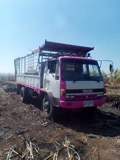 ขาย 6 ล้อร้อกกี้ FTR 165