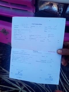 ขาย 6 ล้อร้อกกี้ FTR 165 ขาย 6 ล้อร้อกกี้ FTR 165