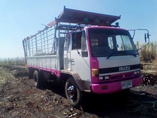 ขาย 6 ล้อร้อกกี้ FTR 165 ขาย 6 ล้อร้อกกี้ FTR 165