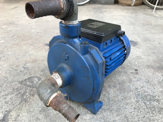 ขายปั้มน้ำหอยโข่ง Ebara 1HP. 220V ไฟบ้าน made in Italy ใบพัดทองเหลืองอย่างดี ขนาดเข้า 1นิ้ว ออก 1นิ้ว สภาพสวยเดิมๆ พร้อมใช้งาน