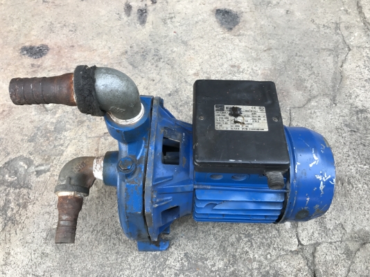 ขายปั้มน้ำหอยโข่ง Ebara 1HP. 220V ไฟบ้าน made in Italy ใบพัดทองเหลืองอย่างดี ขนาดเข้า 1นิ้ว ออก 1นิ้ว สภาพสวยเดิมๆ พร้อมใช้งาน