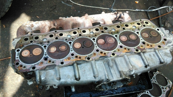 ขาย ฝาสูบ และ ชุดลูกสูบอุปกรณ์แกส อื่นๆ ฟูโช่ เครื่อง 6 D 16T ขาย ฝาสูบ และ ชุดลูกสูบอุปกรณ์แกส อื่นๆ ฟูโช่ เครื่อง 6 D 16T