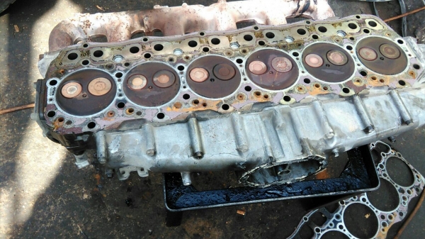 ขาย ฝาสูบ และ ชุดลูกสูบอุปกรณ์แกส อื่นๆ ฟูโช่ เครื่อง 6 D 16T ขาย ฝาสูบ และ ชุดลูกสูบอุปกรณ์แกส อื่นๆ ฟูโช่ เครื่อง 6 D 16T