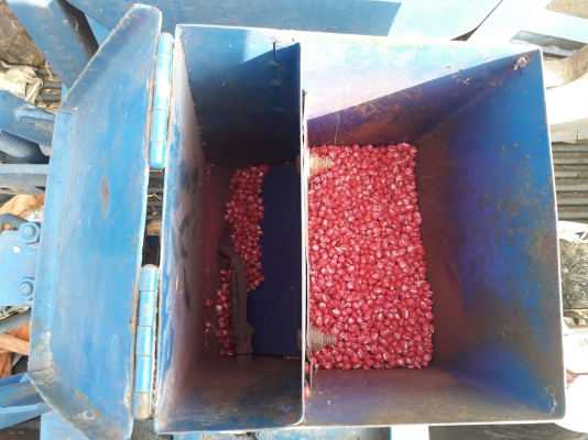 เครื่องหยอดข้าวโพด แบบจาน