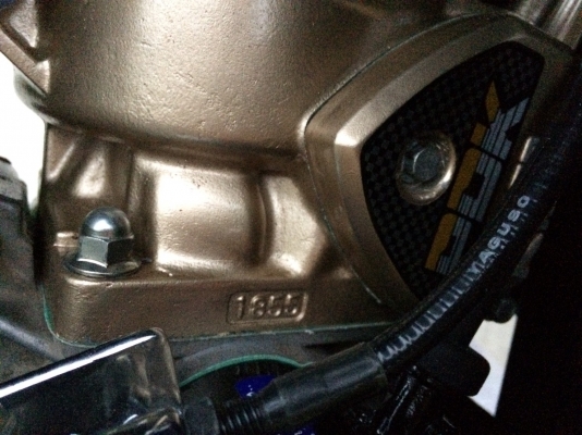 เซอร์ปิโก้