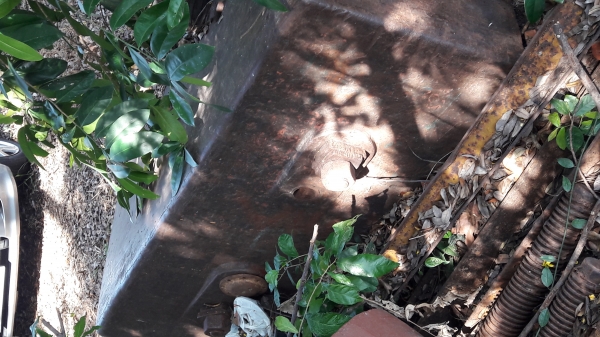 ขายลูกตุ้ม085-7666984