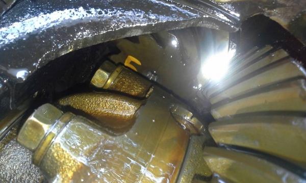 ขายเฟืองท้ายเอลฟ์10&times;41แท้ญี่ปุ่น