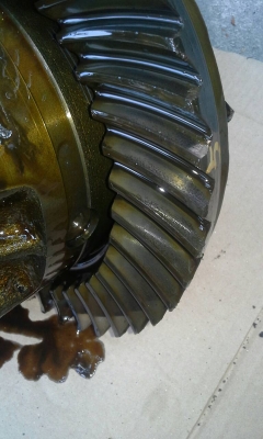 ขายเฟืองท้ายเอลฟ์10&times;41แท้ญี่ปุ่น