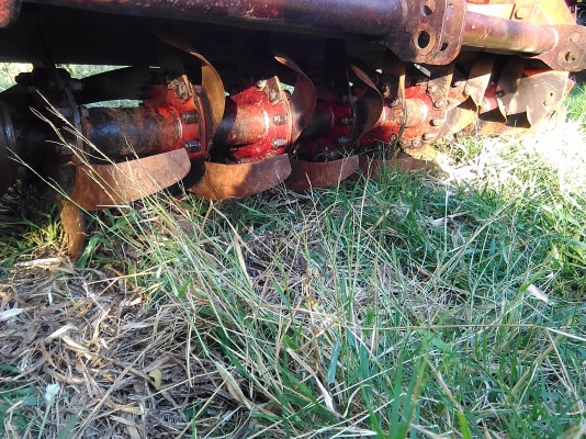 โลตราช้าง1.63dใบเต็มพร้อมยอยสวยๆพร้อมใช้ โลตราช้าง1.63dใบเต็มพร้อมยอยสวยๆพร้อมใช้