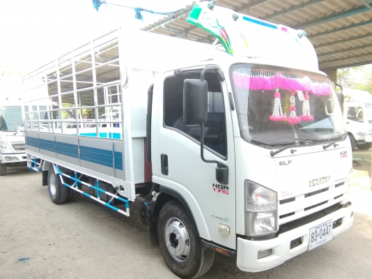 6 ล้อกลาง *Euro.3* ISUZU NQR 175 แรงม้า *คอมมอนเรว* ยาว 5.60 ม.* รถสวยเดิม+สวยจริง * รถห้างแท้ * มีเล่มพร้อมโอน *