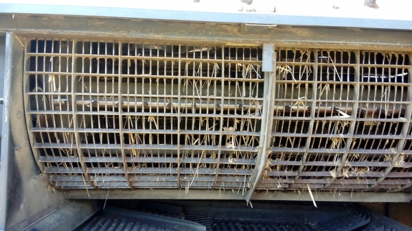 ขายด่วน ขายด่วน