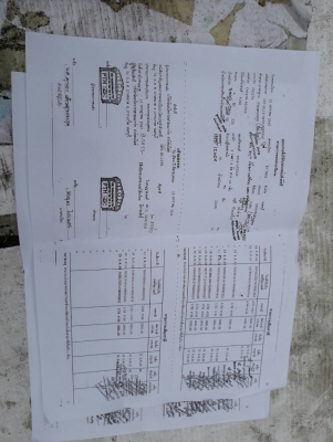 หลงเทอร์โบ2เพลา220แรงพร้อมหาง