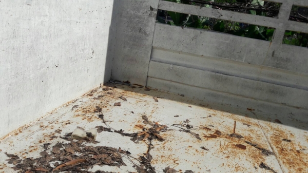 หกล้อ อิชุซุ NPR 150 แรง กระบะคอง