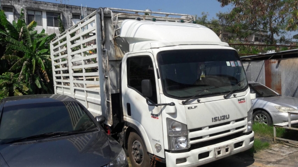 หกล้อ อิชุซุ NPR 150 แรง กระบะคอง