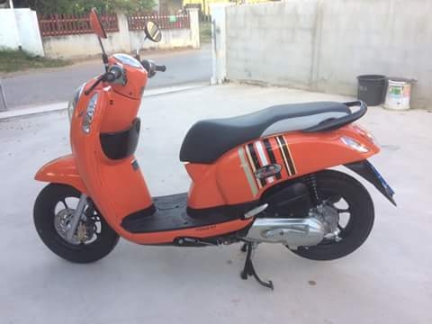 ---------ขายสกุปี้ปี58-------