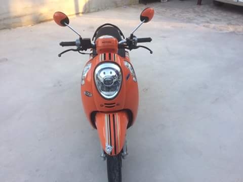 ---------ขายสกุปี้ปี58------- ---------ขายสกุปี้ปี58-------