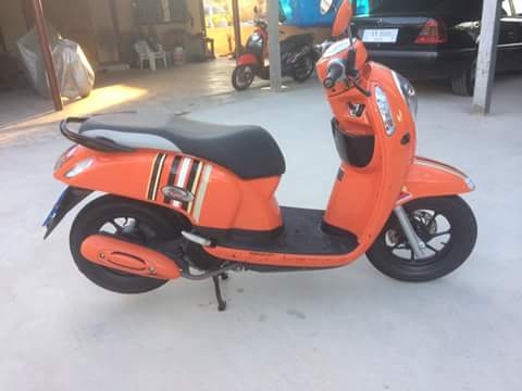 ---------ขายสกุปี้ปี58------- ---------ขายสกุปี้ปี58-------