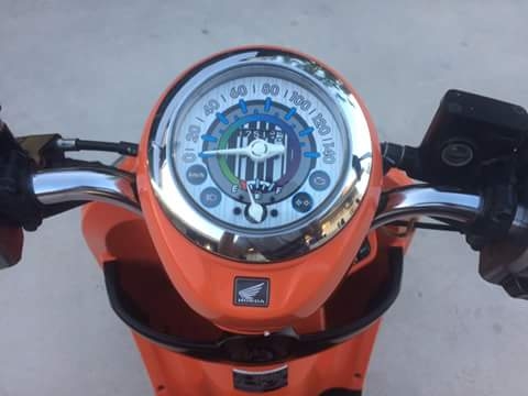 ---------ขายสกุปี้ปี58------- ---------ขายสกุปี้ปี58-------