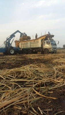 10 ล้อ 2 เพลา HINO 3H 195 แรง เดิม ๆ กระบะโคราช ดั้ม สภาพสวย ๆ เอกสารพร้อมโอน