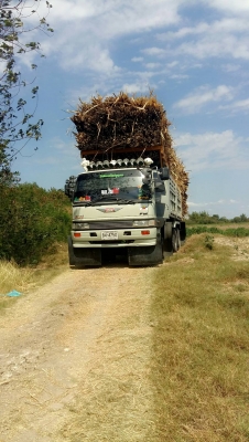 10 ล้อ 2 เพลา HINO 3H 195 แรง เดิม ๆ กระบะโคราช ดั้ม สภาพสวย ๆ เอกสารพร้อมโอน