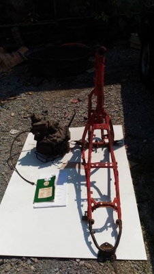 ขายอะหลั่ย MTX