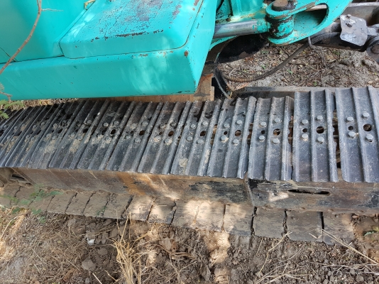 ขายบุ้งกี๋