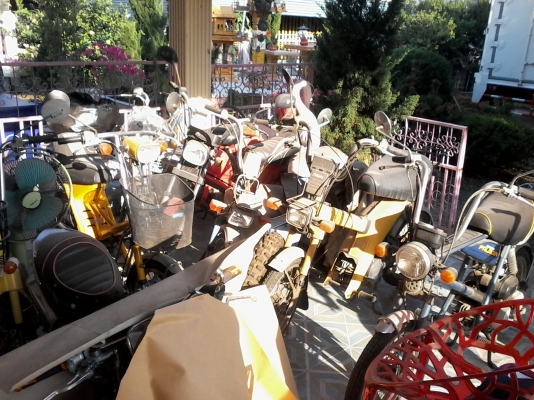 ขายทุกคัน ขายทุกคัน