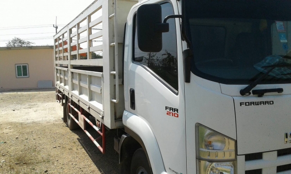Isuzu FRR210 ยาว6.5ม ห้างแท้ปี56 กะบะเหล้กทั้งลำ งวดละ20,xxx คงเหลือ610,000 Isuzu FRR210 ยาว6.5ม ห้างแท้ปี56 กะบะเหล้กทั้งลำ งวดละ20,xxx คงเหลือ610,000