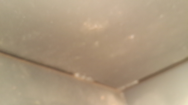 ขายถูกกระบะ ดั้มพ์สามมิตรแท้ แท้ยาว 4.05 M กว้าง 2.25 M คัชซี 82-85 สภาพสวย อุปรกรณ์ครบ ทุกชิ้น ตั้งได้เลยรถ ทุก ยี่ห้อ โทร 081-1841924