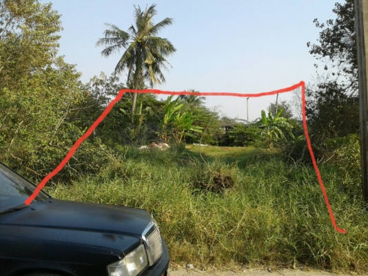 ขายที่ดิน. 100. ตรว.แถวบางบัวทอง
