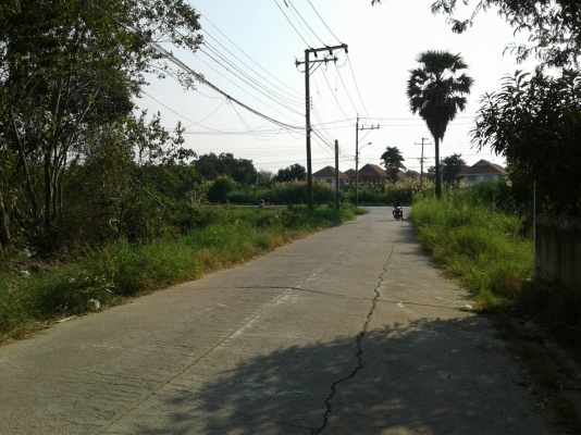 ขายที่ดิน. 100. ตรว.แถวบางบัวทอง ขายที่ดิน. 100. ตรว.แถวบางบัวทอง
