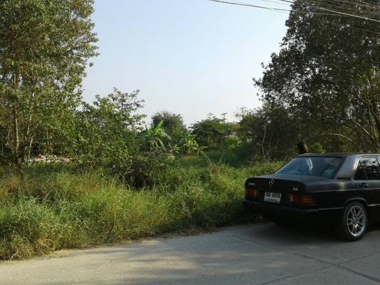 ขายที่ดิน. 100. ตรว.แถวบางบัวทอง ขายที่ดิน. 100. ตรว.แถวบางบัวทอง