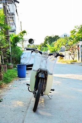 ขาย HONDA C70 สตาร์ทมือ ขาย HONDA C70 สตาร์ทมือ