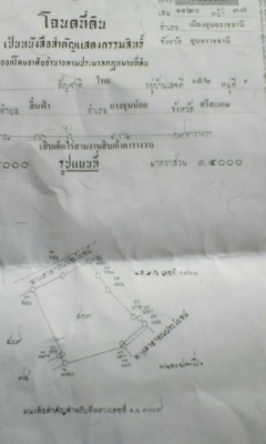 ที่ดิน11ไร่3งาน ที่ดิน11ไร่3งาน