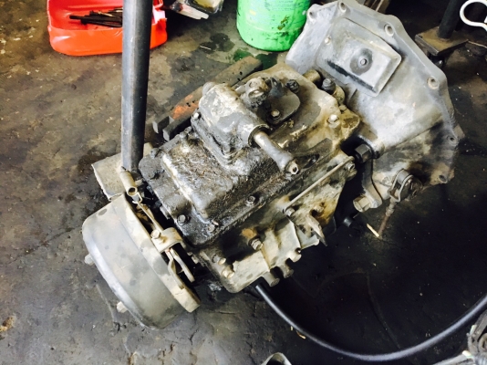 ขายเกียร์ มีเกีย 3h เกีย kt725 ขายเกียร์ มีเกีย 3h เกีย kt725