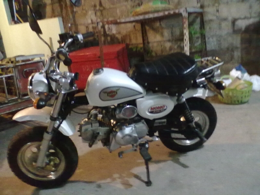 มั้งกี้ มินิสตาเลียน