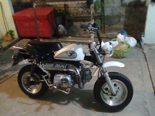 มั้งกี้ มินิสตาเลียน