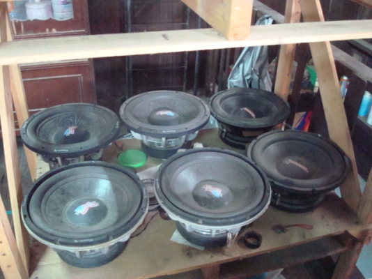 ขายดอก12นิ้ว1คู่