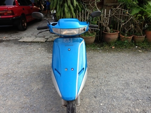 รถป๊อป dio