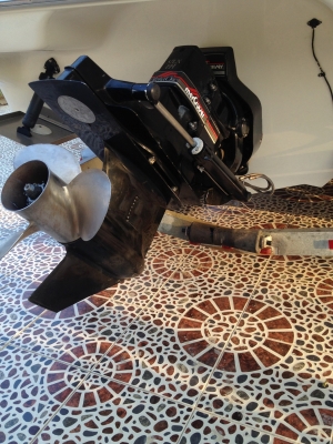 sea ray 230 ov หัวปิดมีห้องน้ำ 24ฟุต สภาพดี ขับสนุก 60mphขายถูกที่สุดในโลก