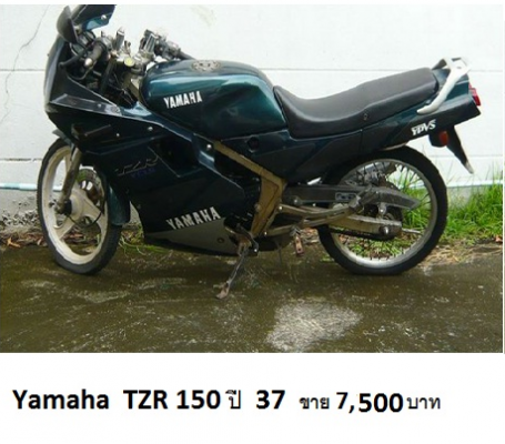 ขายด่วน TZR