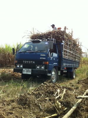 ขายหกล้อ TOYOTA   ไดน่า300 เครื่อง14B 115แรงม้า