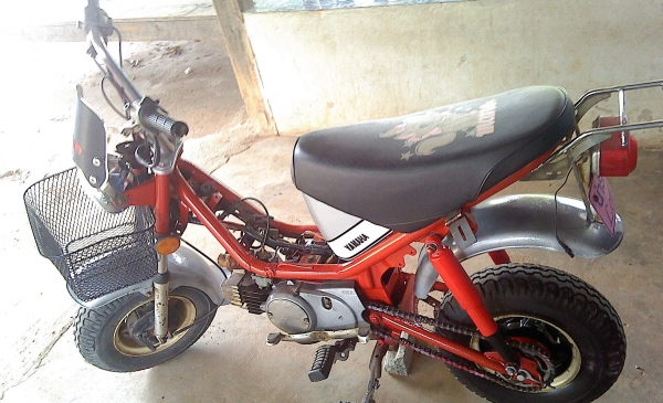 ขาย ชิ้ปปี้ (yamaha-chappy) ลดสุดๆ ขายถูกๆ 5500 บาท ราคานี้.ถึงวันศุกร์เท่านั้น..ให้เร็ว