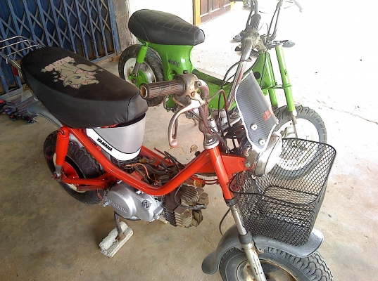 ขาย ชิ้ปปี้ (yamaha-chappy) ลดสุดๆ ขายถูกๆ 5500 บาท ราคานี้.ถึงวันศุกร์เท่านั้น..ให้เร็ว