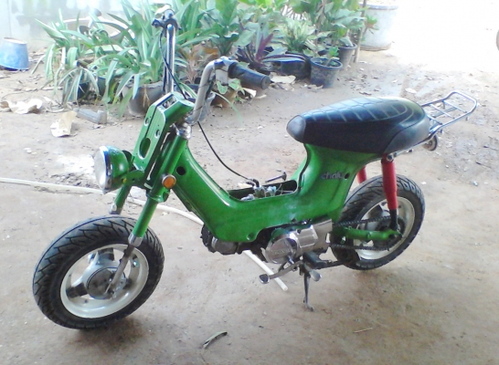 ขาย ชาลี(ยืนคัน) 7800 บาท ตามรูป โทร 090-7960321