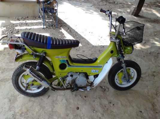 ขาย ชาลี(ยืนคัน) 7800 บาท ตามรูป โทร 090-7960321